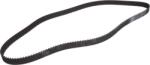 Continental CT1119 - Curea de distributie - CONTINENTAL-CT1119 (CONTINENTALCT1119)