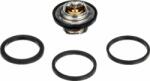 GATES TH28592G1 - Termostat, lichid racire - Termostat. lichid racire - Gates-TH28592G1 - GATES-TH28592G1 (GATESTH28592G1)
