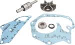 OMP 412.002 - Set Reparatie Pompa Apa - Omp - Omp-412.002 (omp412002)