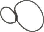 Topran 208 948 - Garnituri, carcasa filtru ulei - Garnituri. carcasa filtru ulei - Topran-208 948 - Topran-208 948 (TOPRAN208948)