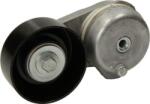 DAYCO APV2447 - Intinzator curea, curea distributie - INTINZATOR CUREA. CUREA DISTRIBUTIE - compatibil Ford. Mazda - DAYCO-APV2447 (DAYCOAPV2447)