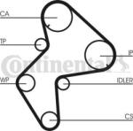 Continental CT775K1 - Set curea de distributie - CONTINENTAL-CT775K1 (CONTINENTALCT775K1)