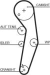 GATES 5569XS - Curea de distributie - Gates-5569XS - GATES-5569XS (GATES5569XS)