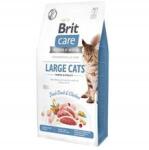 Brit Care Cat Gf Nagytestű macskáknak Power&Vitality változat: 7 kg (8595602540907)