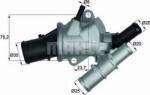 MAHLE TI 179 88 - Termostat, lichid racire - MAHLE-TI 179 88 (MAHLETI17988)