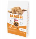 Iams for Vitality Beltéri Száraz Macskaeledel Csirke 10kg (8710255150451)