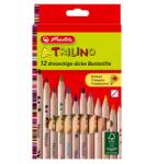 Herlitz Színesceruzák Trilino 10412062 12 kol. Herlitz (300000630) (10412062)