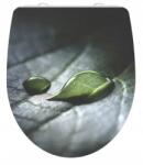 SCHÜTTE WC-ülőke Schütte Raindrop Duroplast Hg, Soft Close (4008431825830)
