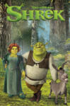 Pyramid International Shrek Hősök poszter 61x91, 5 cm