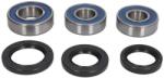 ALL BALLS Kit rulmenti roata ALL BALLS AB25-1557 (AB25-1557)