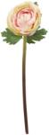 Clayre & Eef Ranunculus roz pudrat 44 cm (2005)