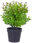 Bizzotto Buxus artificial in ghiveci 25h (3474)