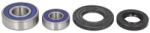 ALL BALLS Kit rulmenti roata ALL BALLS AB25-1564 (AB25-1564)