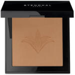 Stendhal Perfecting Compact Powder 131 Ambre 9g