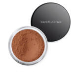 Bareminerals All Over Face Color Bronzer Warmth