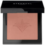 Stendhal Illuminating Blush 302 Brun Petra 5.5g