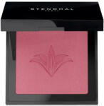 Stendhal Illuminating Blush 303 Rose Marrakech 5.5g