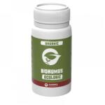 Gazonul Fertilizant Lichid Organic BioHumus 250ML
