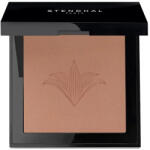 Stendhal Radiant Brozing Powder 211 Kalahari 9.5g