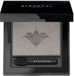 Stendhal Magnifying Eyeshadow 501 Platine 2.5g