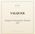 VALQUER Șampon Prolongador Alisado 300