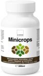 Chromosome Dynamics Biostimulator Microbian Minicrops Rasaduri - CHRD 300ML