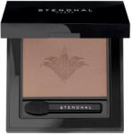 Stendhal Magnifying Eyeshadow 505 Bronze Antique 2.5g