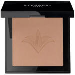 Stendhal Perfecting Compact Powder 130 Ambre Rose 9g