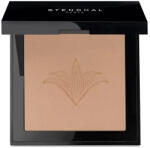 Stendhal Perfecting Compact Powder 120 Sable 9g