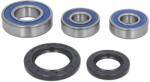 ALL BALLS Kit rulmenti roata ALL BALLS AB25-1449 (AB25-1449)