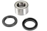 ALL BALLS Kit rulmenti roata ALL BALLS AB25-1538 (AB25-1538)