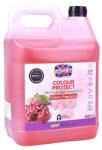 RONNEY Sampon pentru protecția culorii, 5 litri, CHERRY