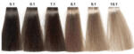 Carin Haircosmetics Color Intensivo vopsea de păr 100 ml 08.1