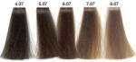 Carin Haircosmetics Color Intensivo vopsea de păr 100 ml 06.07