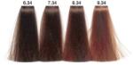 Carin Haircosmetics Color Intensivo vopsea de păr 100 ml 07.34
