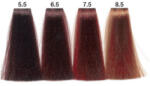 Carin Haircosmetics Color Intensivo vopsea de păr 100 ml 08.5