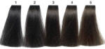 Carin Haircosmetics Color Intensivo vopsea de păr 100 ml 03