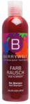 BERRYWELL Care Șampon colorant Red 251 ml