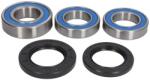 ALL BALLS Kit rulmenti roata ALL BALLS AB25-1039 (AB25-1039)