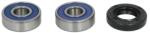 ALL BALLS Kit rulmenti roata ALL BALLS AB25-1439 (AB25-1439)