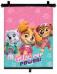 Nickelodeon PAW PATROLS GIRLS Mix (34025)