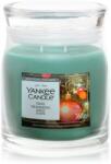 Yankee Candle Tree Trimming lumânare parfumată 368 g