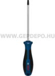 Bosch csavarhúzó TX30 x 125 mm (1600A039TE) - gepdepo