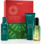 Aveda Holiday Gift of Radiance Botanical Repair and Miraculous Oil ajándékszett hajra