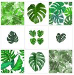ZeSmakiem Poszter szett 9x 60x60 Mix Levelek Monstery (FIX29M_PL9E_180x180cm)