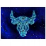 ZeSmakiem Poszterek 70x50 Csillagjegy Bika Taurus (SF11M_PL1G_70x50cm)