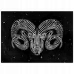 ZeSmakiem Poszterek 70x50 Csillagjegy fekete-fehér Kos Aries (SF46M_PL1G_70x50cm)