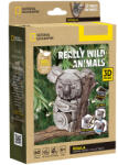  3D puzzle: Koala - National Geographic