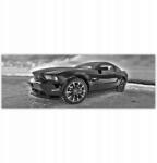 ZeSmakiem Fotótapéták 624x219 Ford Mustang a hóban Autó Klasszikus Made in Usa (H10438Z_TV5BT_624x219cm ODS)