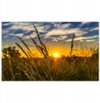ZeSmakiem Fotótapéták 520x318 Naplemente a füvek között (H10360Z_TV5BC_520x318cm ODS)